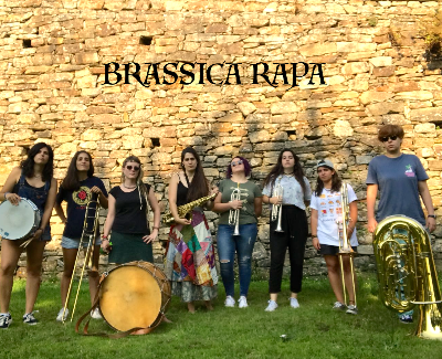 Brassica Rapa 
