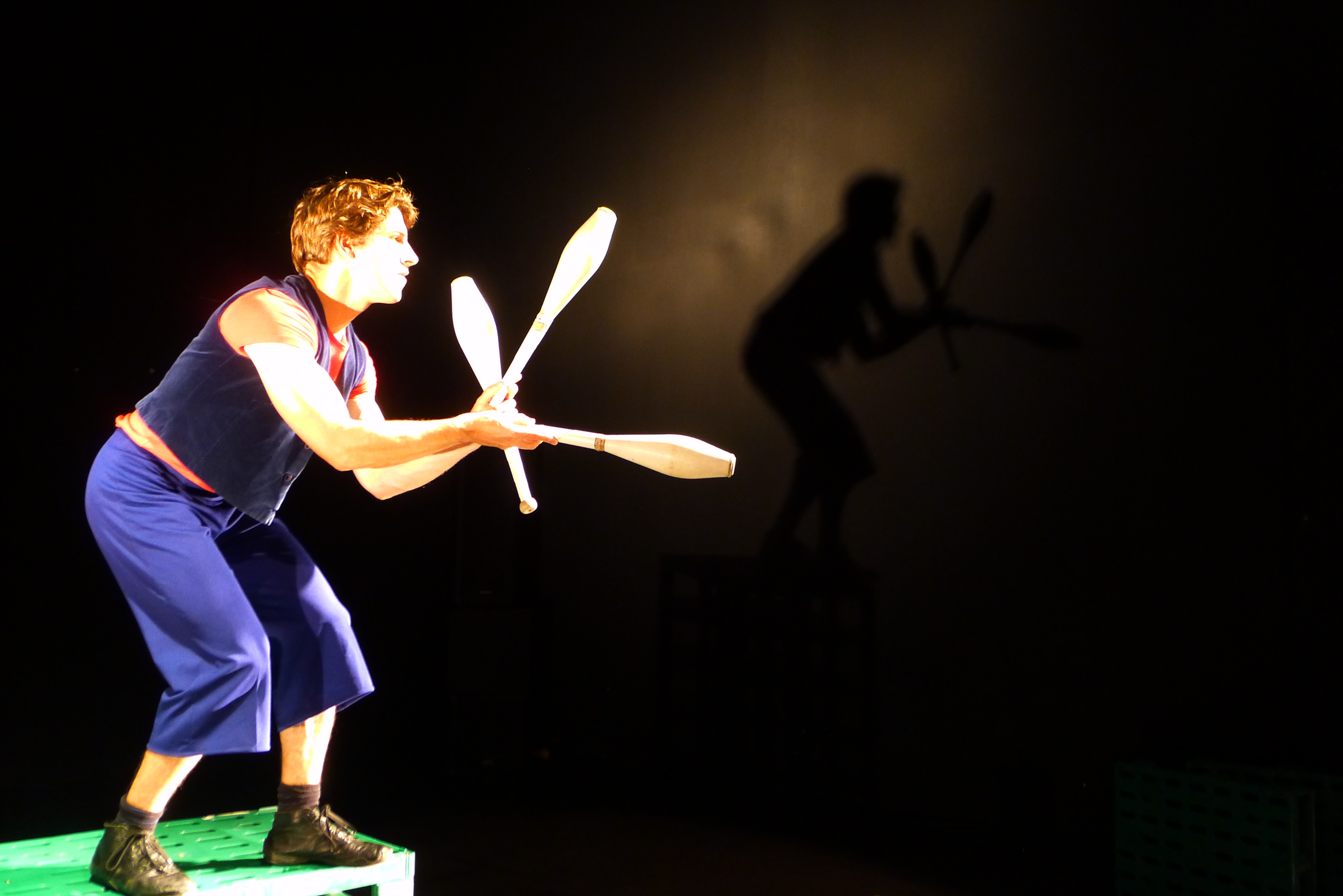 Circo Chosco en Salvaterra de Miño