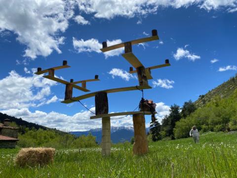 Nacho Flores - Domte